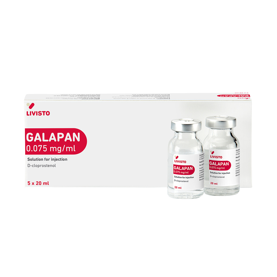 GALAPAN
