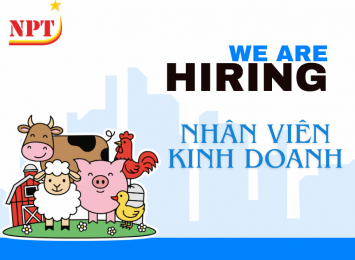 TUYỂN DỤNG NHÂN VIÊN KINH DOANH THÁNG 10/2026