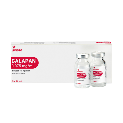 GALAPAN