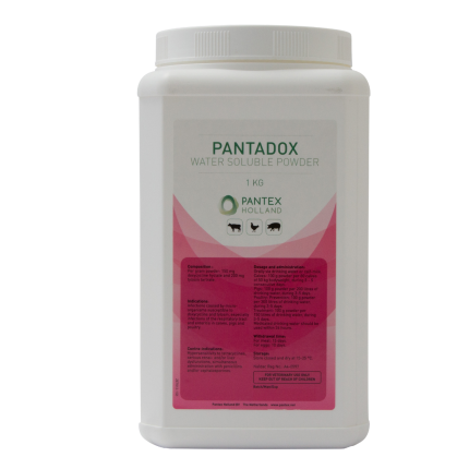 PANTADOX