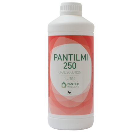 PANTILMI 250