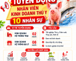 THÔNG BÁO TUYỂN DỤNG THÁNG 6/2026